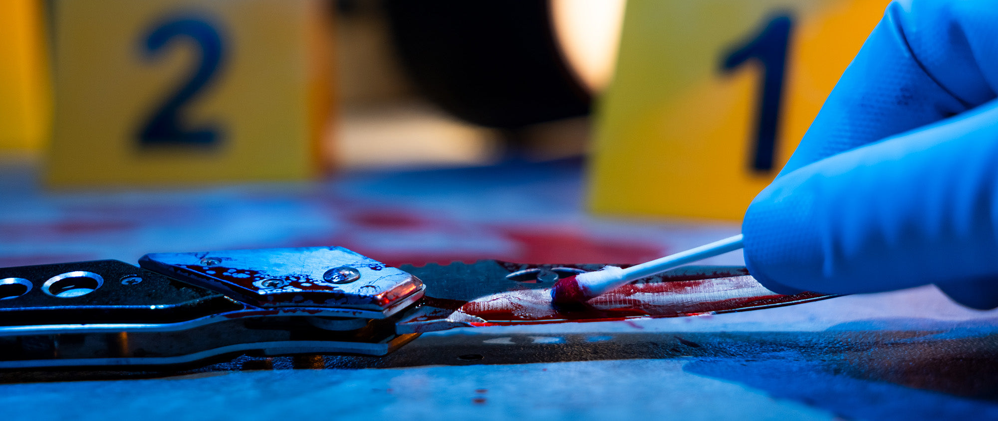 Forensics & Genetics