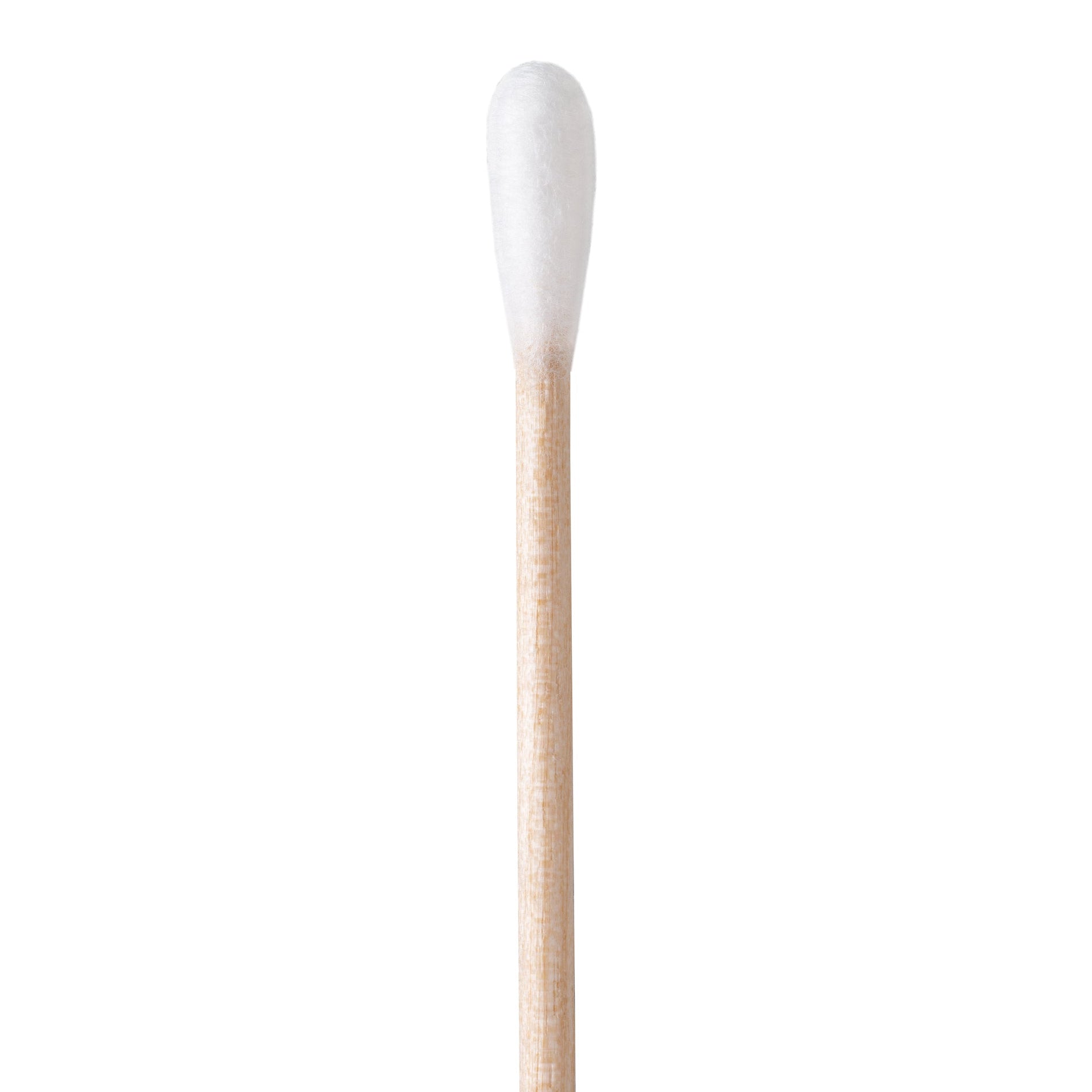Puritan 6" Standard Cotton Swab w/Wooden Handle, Tip