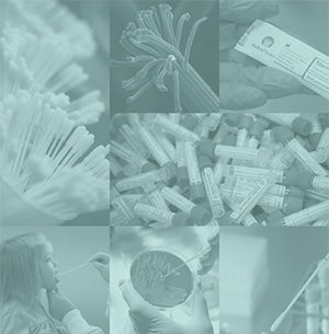Diagnostics + Medical