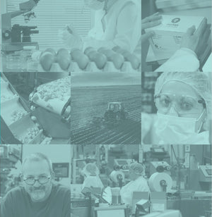 Environmental + Food Safety