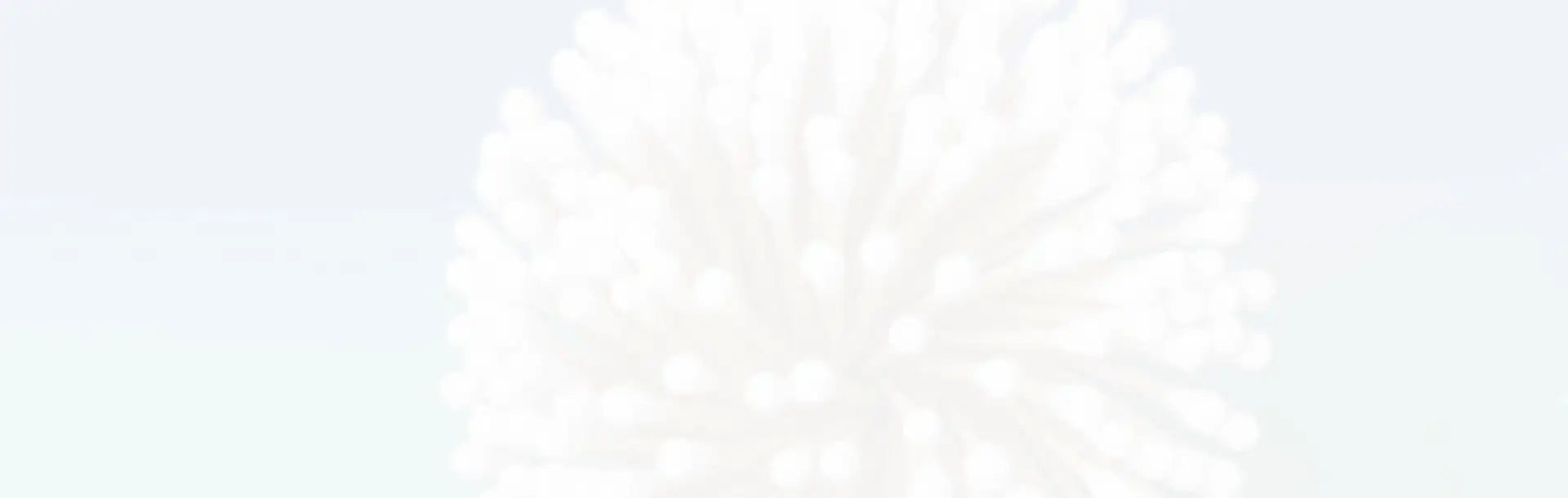 blank white image